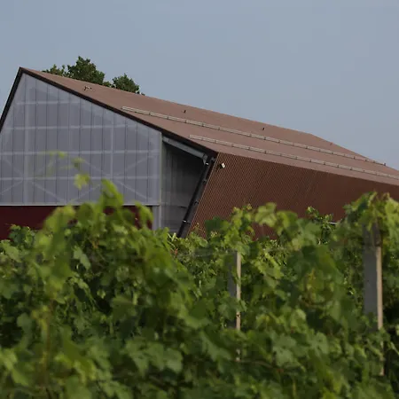 Eco Bio Agriturismo La Bella Vite - Con Vigna