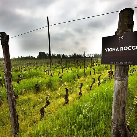 Eco Bio Agriturismo La Bella Vite - Con Vigna Carpeneto