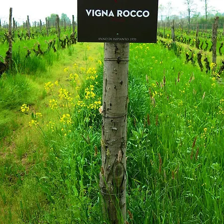 Çiftlik konaklama Eco Bio Agriturismo La Bella Vite - Con Vigna Carpeneto