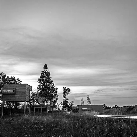 Eco Bio Agriturismo La Bella Vite - Con Vigna Çiftlik konaklama Carpeneto