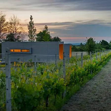 Eco Bio Agriturismo La Bella Vite - Con Vigna Carpeneto