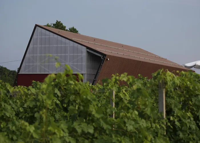 Eco Bio Agriturismo La Bella Vite - Con Vigna
