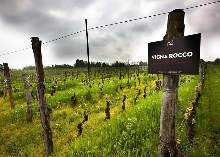 Eco Bio Agriturismo La Bella Vite - Con Vigna Carpeneto