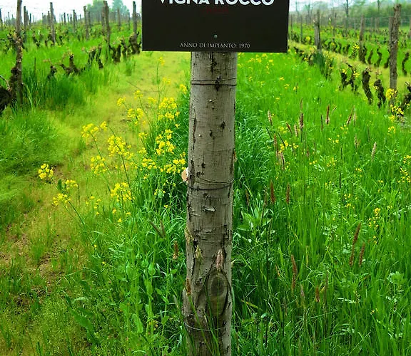 Bauernhof Eco Bio Agriturismo La Bella Vite - Con Vigna Carpeneto