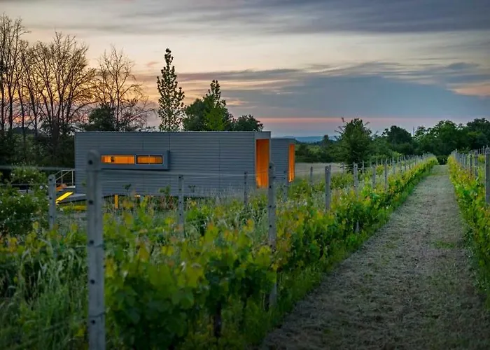 Eco Bio Agriturismo La Bella Vite - Con Vigna Carpeneto